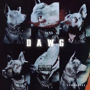 DAWG (Explicit)