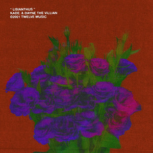 Lisianthus (Explicit)