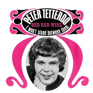 I Won't Stand Between Them (Single Version)