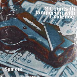 2 Counts Of Tampering With Evidence (Explicit)