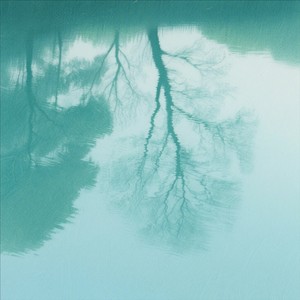 巴拉莱卡-钱卓豪