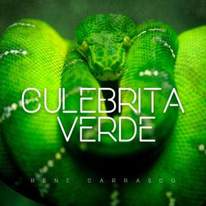 Culebrita Verde