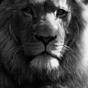 Retun on Deposit (Explicit)