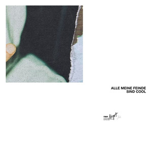 Alle meine Feinde sind cool (Explicit)