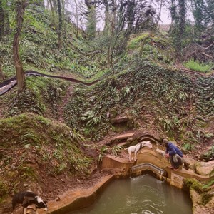 Leaves in the breeze (feat. Spam Hoolie & K.E. on the track) (Explicit)