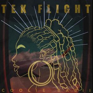 Tek Flight