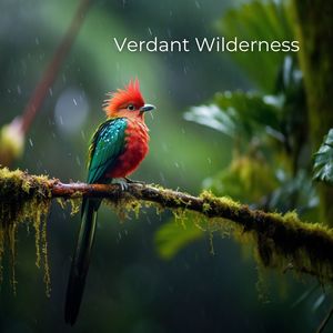 Verdant Wilderness (Immersive Rhythms of Waterfalls, Birds, and Forests)