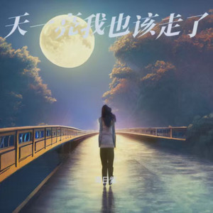 天一亮我也该走了 (撕裂版)