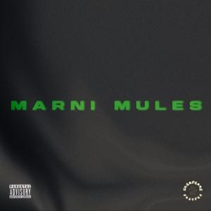 Marni Mules (Explicit)