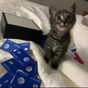 pole freestyle (feat. d3k) (Explicit)