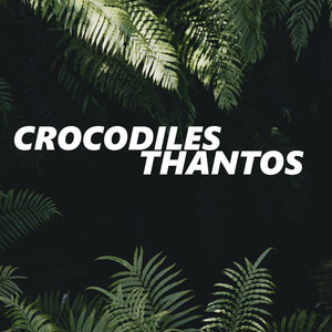 Crocodiles