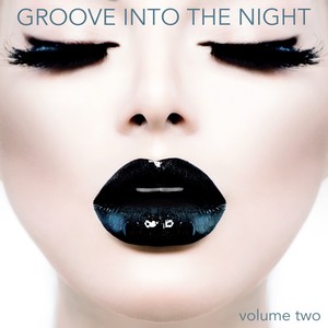 Groove into the Night, Volume 2