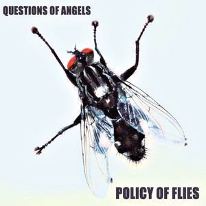 Policy of Flies