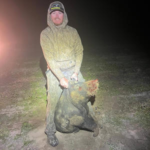 Country Rap Freestyle (Explicit)