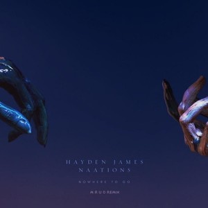 Nowhere to Go-Nowhere To Go (M R U O Remix)