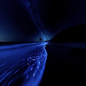 Heat Waves-凌云ovo