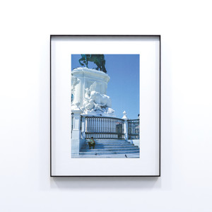 Dolphin Bay Vacation