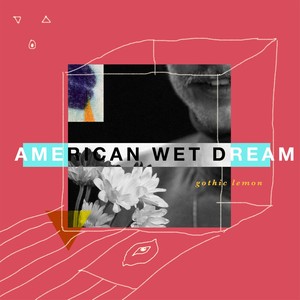 American Wet Dream (Explicit)