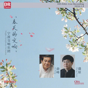 降B大调第二钢琴协奏曲，作品19 - 第一乐章，朝气勃勃的快板 (Live)