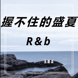 握不住的盛夏