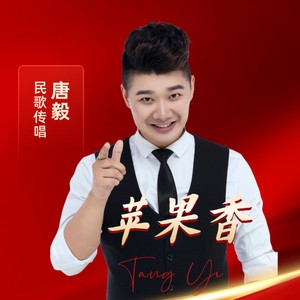 唐毅 - 苹果 (Live)