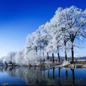 iPhone铃声 幻想变奏曲