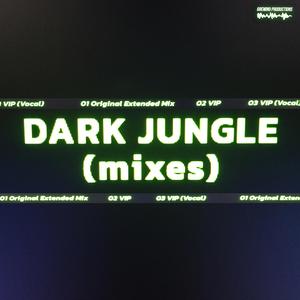 Dark Jungle VIP (Vocal) (Explicit)