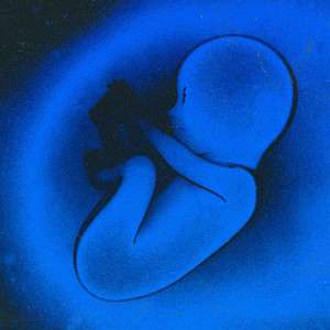 Ossos do ofício (Explicit)