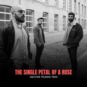 The single petal of a rose