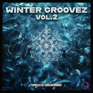 Voom Voom (Original Mix)