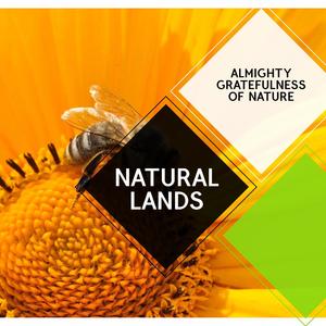 Natural Lands - Almighty Gratefulness of Nature