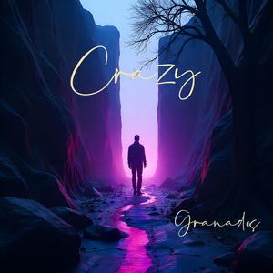 HOW MANY CRAZY THINGS DO