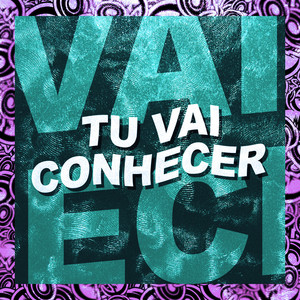 TU VAI CONHECER (Slowed|Explicit)