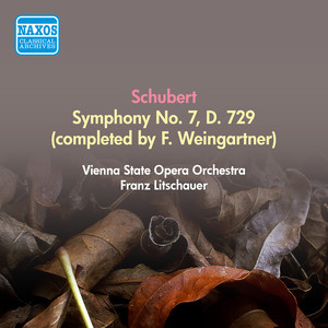 Symphony No. 7 in E Major, D. 729 (arr. F. Weingartner from 1821 sketches) - II. Andante