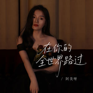 在你的全世界路过