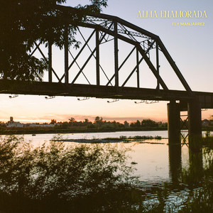 Alma enamorada (COVER版)