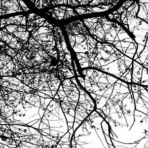 Get Money (Explicit)