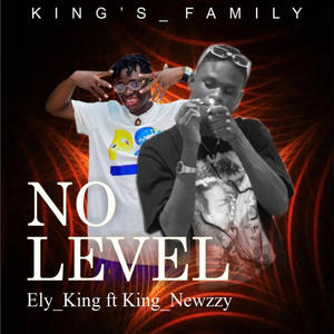 No Level (feat. King_Newzzy)