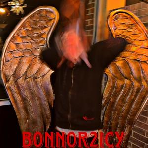 Bonnor2icy (Explicit)