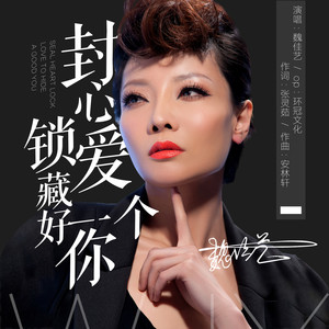 封心锁爱藏好一个你 (DJ沈念版)封面