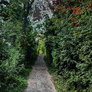 im sorry kate (Explicit)