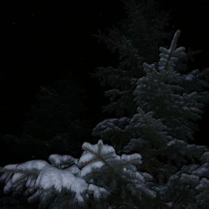 The Fall Off (Explicit)