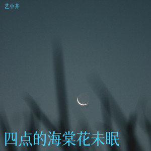 四点的海棠花未眠