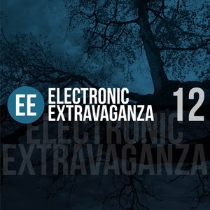 Electronic Extravaganza, Vol. 12