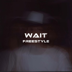 Wait(Freestyle) (Explicit)