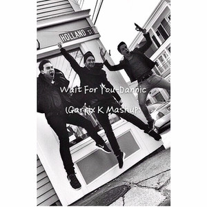 Dannic - Wait For You(Garrix K Mashup)