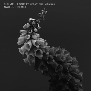 Lose It (Naderi Remix)