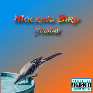 Mocking Bird (Explicit)