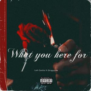 What You Here For (Explicit)