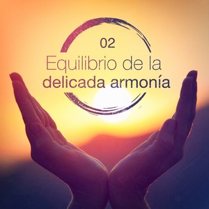 Equilibrio de la delicada armonía, Vol. 2